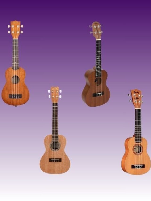 Qual Melhor Ukulele Para Iniciantes Em 2024?